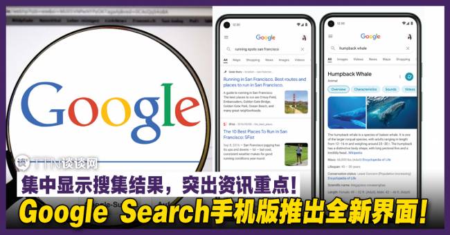 Google Search手机版推出全新界面!集中显示搜集结果,突出资讯重点! – TTN 谈谈网