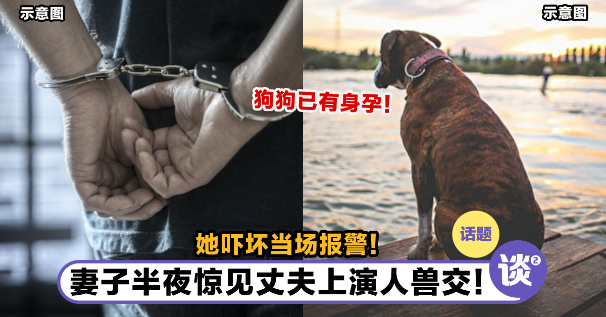 变态人兽交！男子深夜「性侵怀孕狗」妻子意外直击全过程崩溃报警他下场惨了！ Ttn 谈谈网 